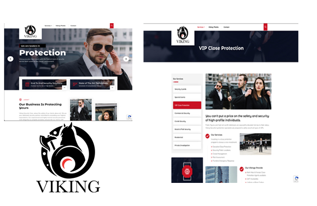 Viking Security Website Design Annex Graphics