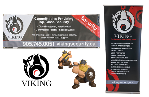 Viking Security Branding Annex Graphics