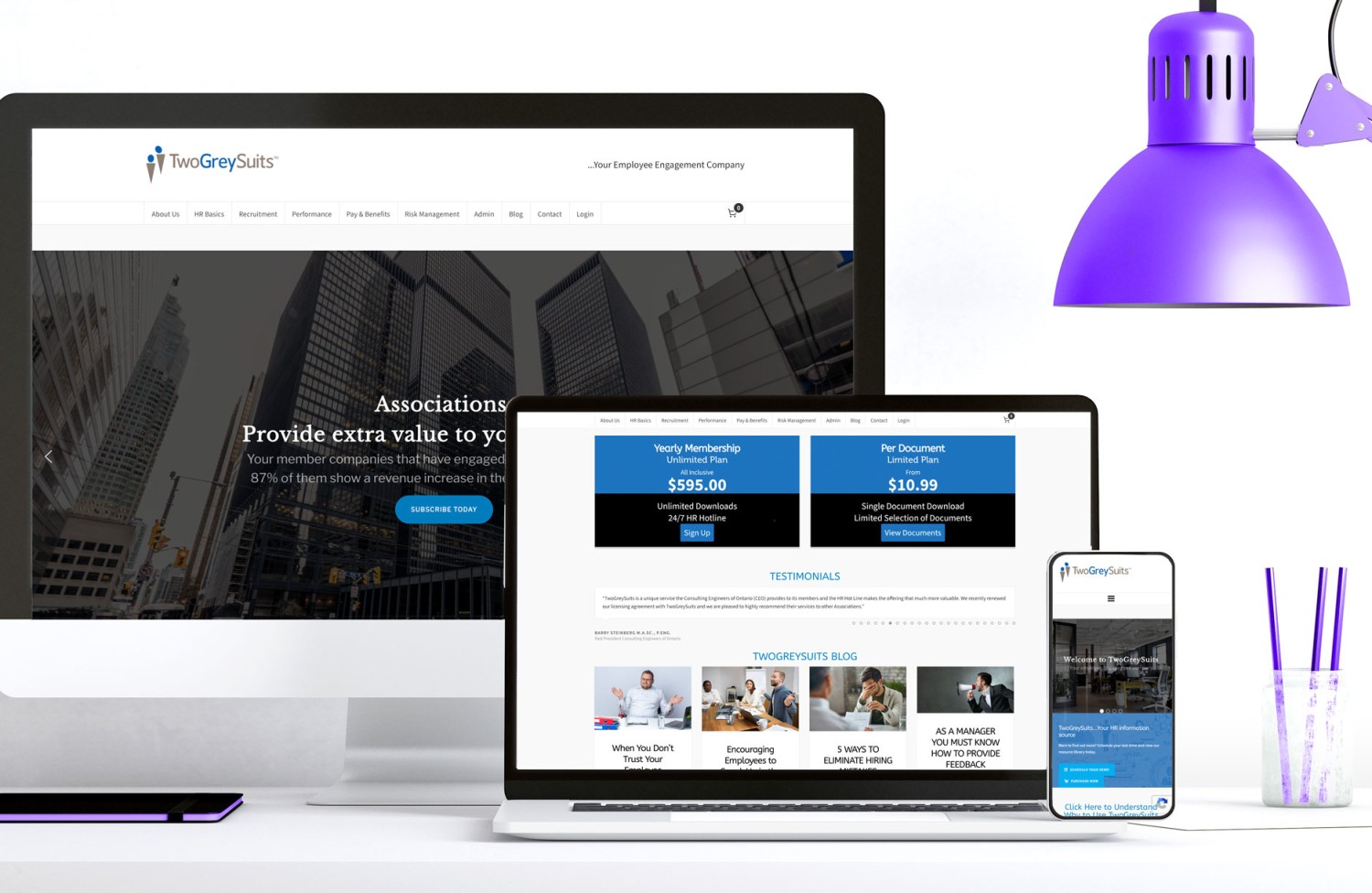 Two Grey Suits Website Design by Annex Graphics