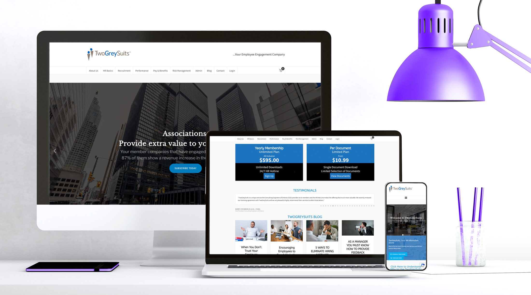 Two Grey Suits Website Design by Annex Graphics